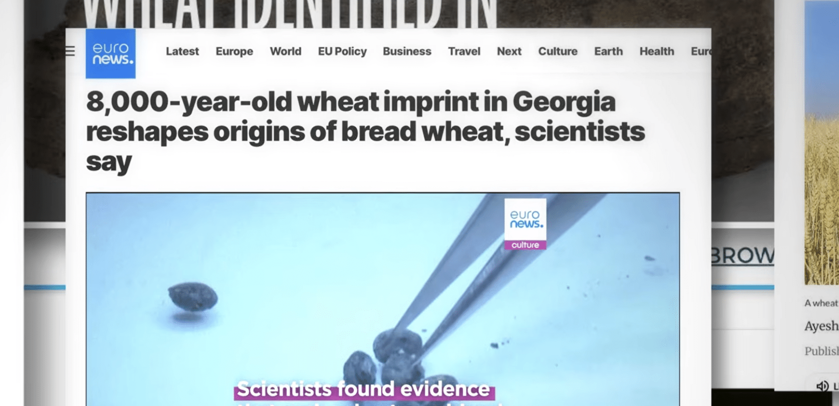 Georgia's Wheat Heritage